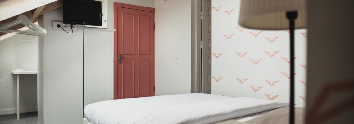 ARALIO KAMBARYS – dvivietis numeris palėpėje