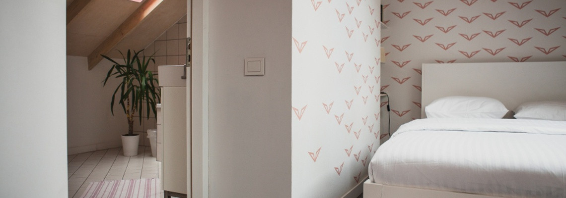 ARALIO KAMBARYS – dvivietis numeris palėpėje